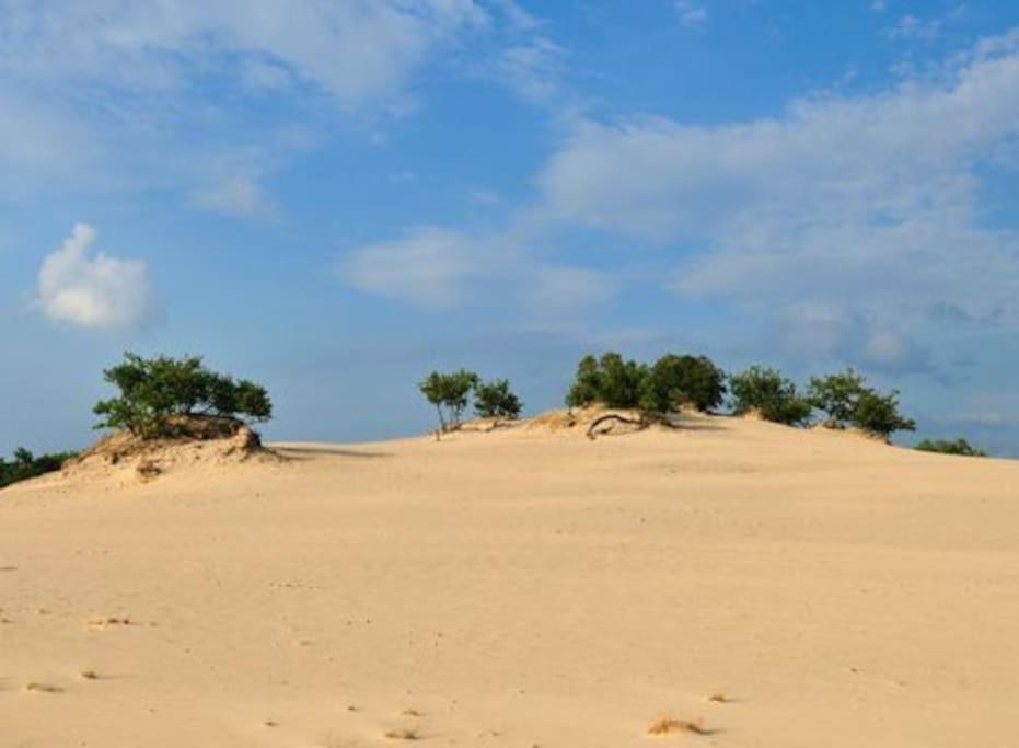 הוילה Natuurhuisje אויסטרוויק מראה חיצוני תמונה