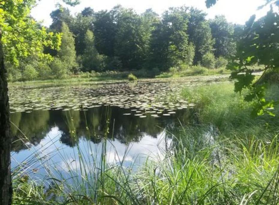 הוילה Natuurhuisje אויסטרוויק מראה חיצוני תמונה