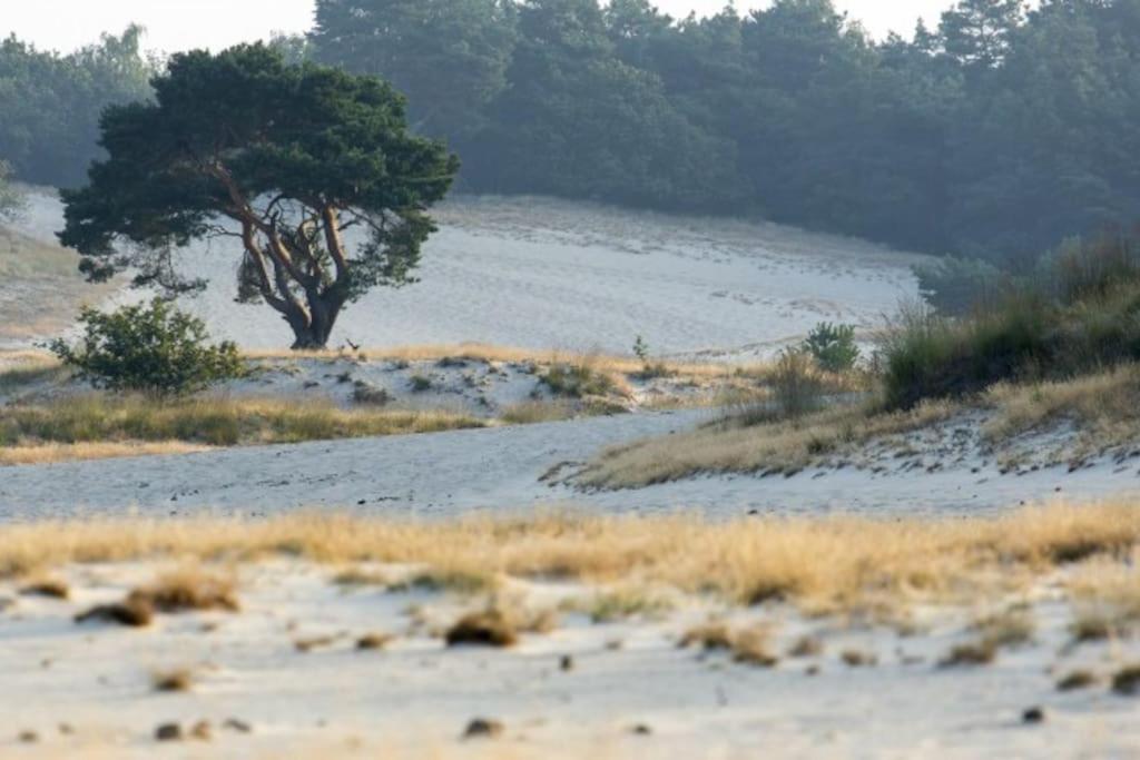 הוילה Natuurhuisje אויסטרוויק מראה חיצוני תמונה