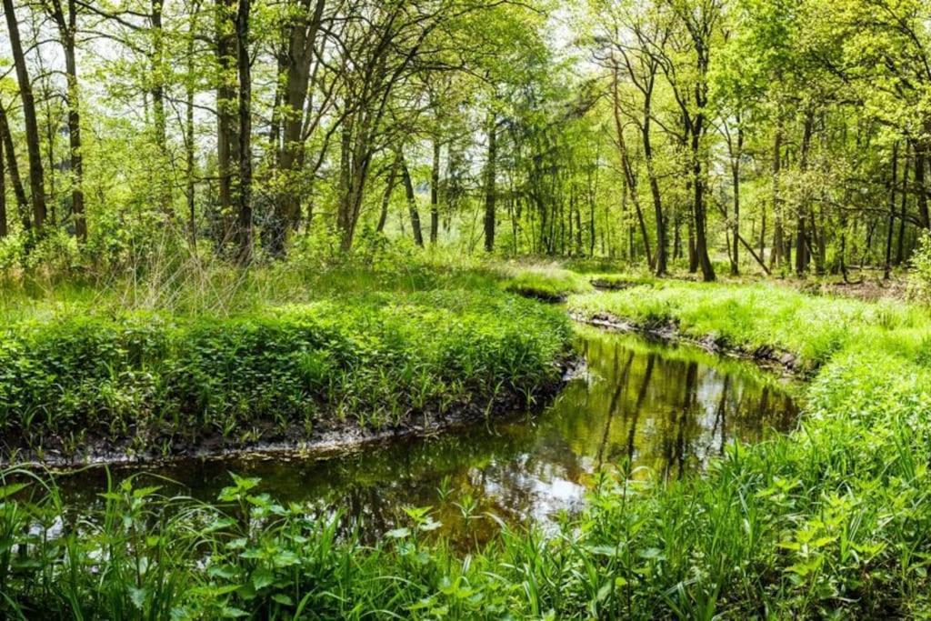 הוילה Natuurhuisje אויסטרוויק מראה חיצוני תמונה