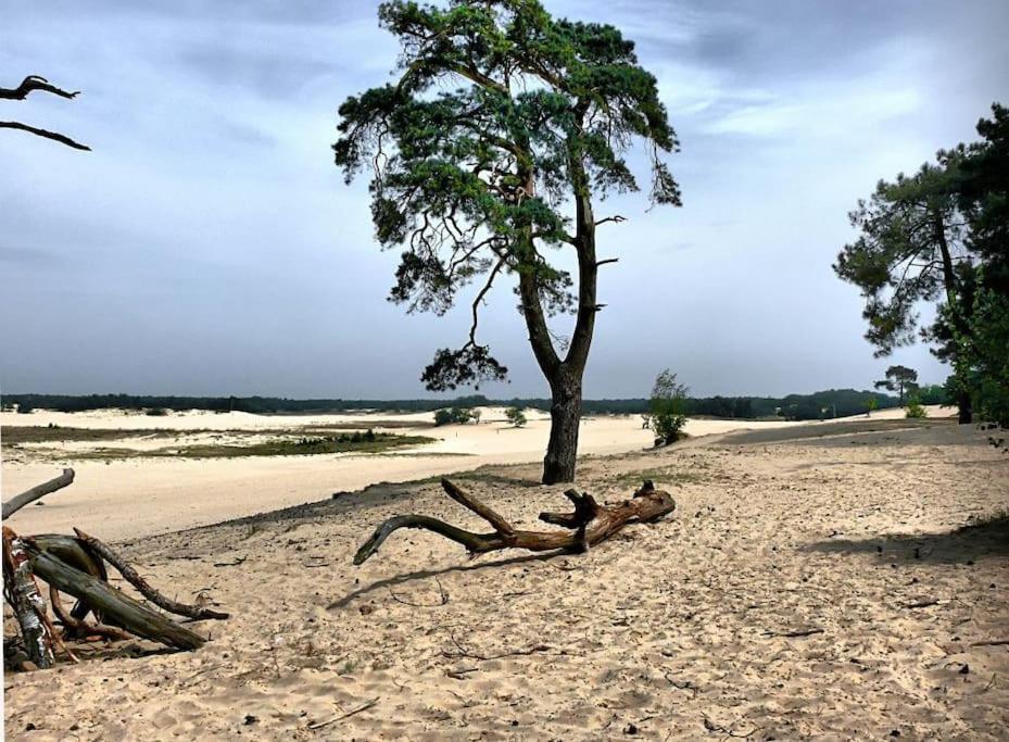 הוילה Natuurhuisje אויסטרוויק מראה חיצוני תמונה